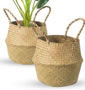 Seagrass Belly Basket, Set of 2 Woven Plant Pot Holder handmade Home Decor for Storage Plants Picnic Grocery Medium(10.63 x 9.44 inch)